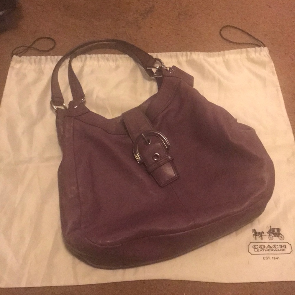 Coach 3 section Plum Bag
